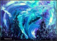 /album/fotogaleria/polarna-ziara-jpg/